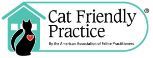 Cat Friendly Practice 